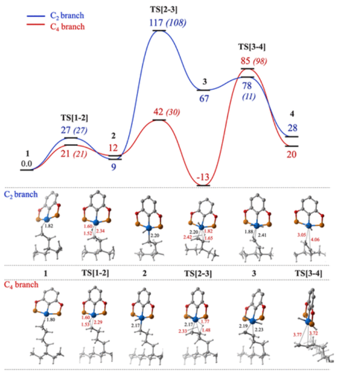 ACS Catalysis：塑料垃圾回收利用中的均相催化