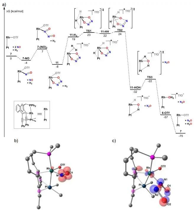 催化頂刊集錦：JACS、Angew.、ACS Energy Lett.、ACS Nano、ACS Catal.等最新成果