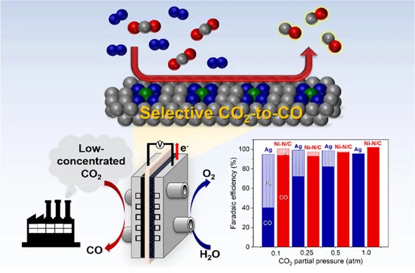 催化頂刊集錦：JACS、Angew.、ACS Energy Lett.、ACS Nano、ACS Catal.等最新成果