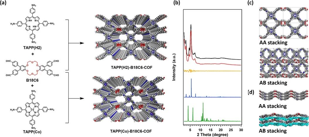 催化頂刊集錦：JACS、Angew.、ACS Energy Lett.、ACS Nano、ACS Catal.等最新成果