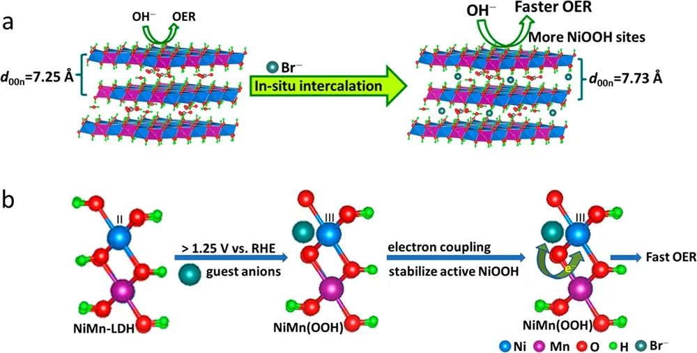 催化頂刊集錦：JACS、Angew.、ACS Energy Lett.、ACS Nano、ACS Catal.等最新成果