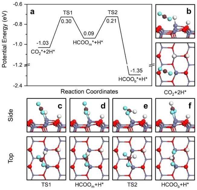 計算頂刊成果速遞：3篇Angew、2篇Nat. Commun.、JACS、AFM、Small等！