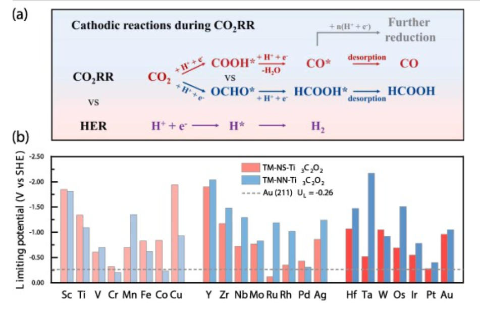 CEJ：DFT計(jì)算設(shè)計(jì)篩選用于高效CO2RR的MXene基單原子催化劑