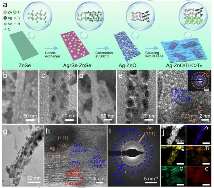 催化頂刊集錦：JACS、EES、Angew.、Chem、AFM、ACS Nano、ACS Catal.等成果