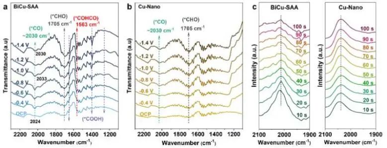 催化頂刊集錦：JACS、Angew.、ACS Catal.、Nano Energy、Nano Lett.等成果