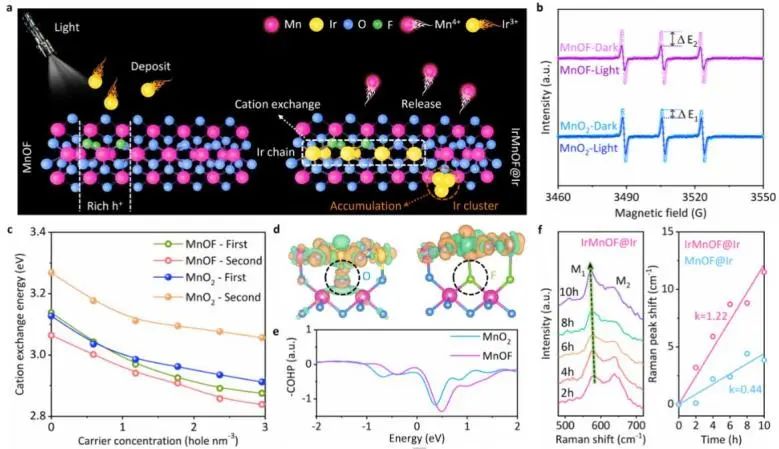 催化頂刊集錦：JACS、Angew、ACS Catal.、AFM、Adv. Sci.、Nano Lett.、Small等