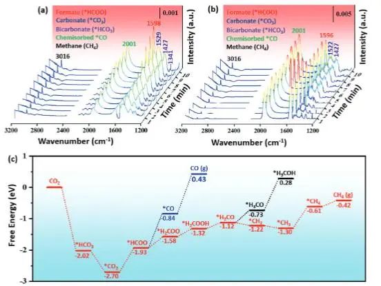 催化頂刊集錦：JACS、AEM、AFM、Adv. Sci.、ACS Catal.、ACS Nano、Small等成果