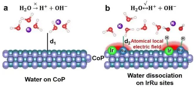 催化頂刊集錦：Nature子刊.、Angew.、JACS、ACS Catalysis、AFM、Small等成果