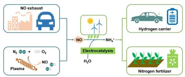 王雙印/陳晨等JACS?：hcp-Co高效電催化NO還原制NH3