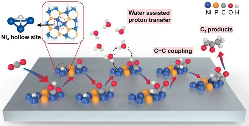 計算+實驗頂刊集錦：Nature子刊、Angew.、AEM、AFM、ACS Catal.、Small等成果精選！