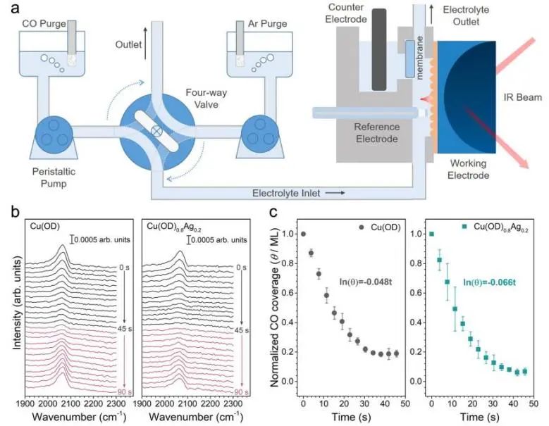 催化頂刊集錦：Nature、JACS、EES、ACS Catal.、ACS Nano、Small等成果精選！