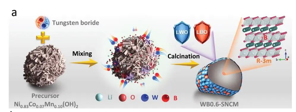 AFM：用于高能量密度鋰離子電池的硼化鎢穩(wěn)定單晶 LiNi0.83Co0.07Mn0.1O2 正極