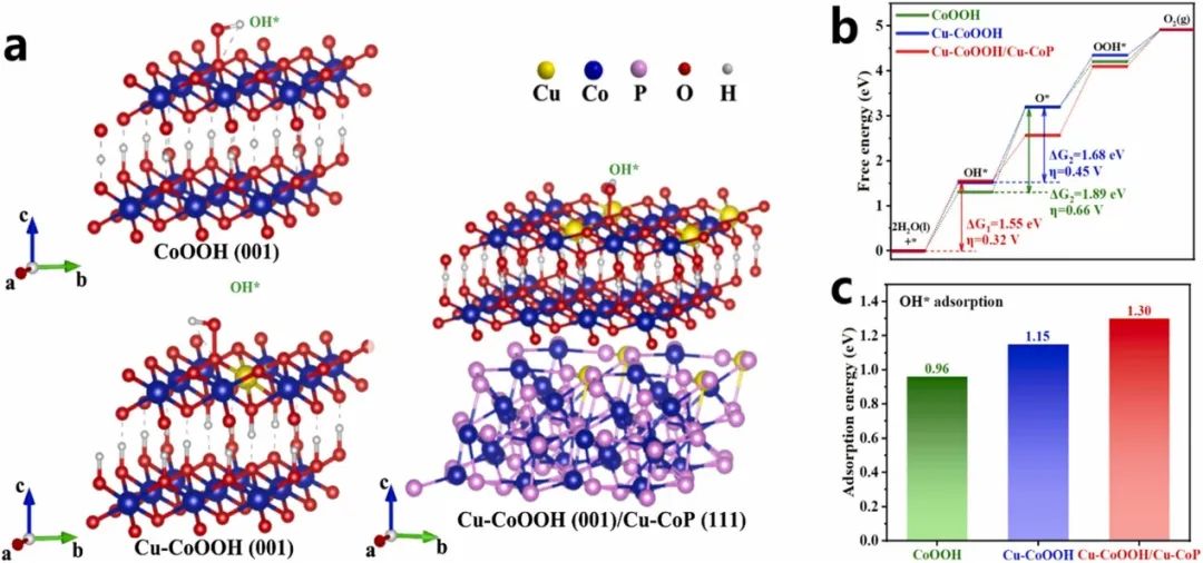 催化頂刊集錦：AFM、ACS Catalysis、Appl. Catal. B.、CEJ、Small、JMCA等成果