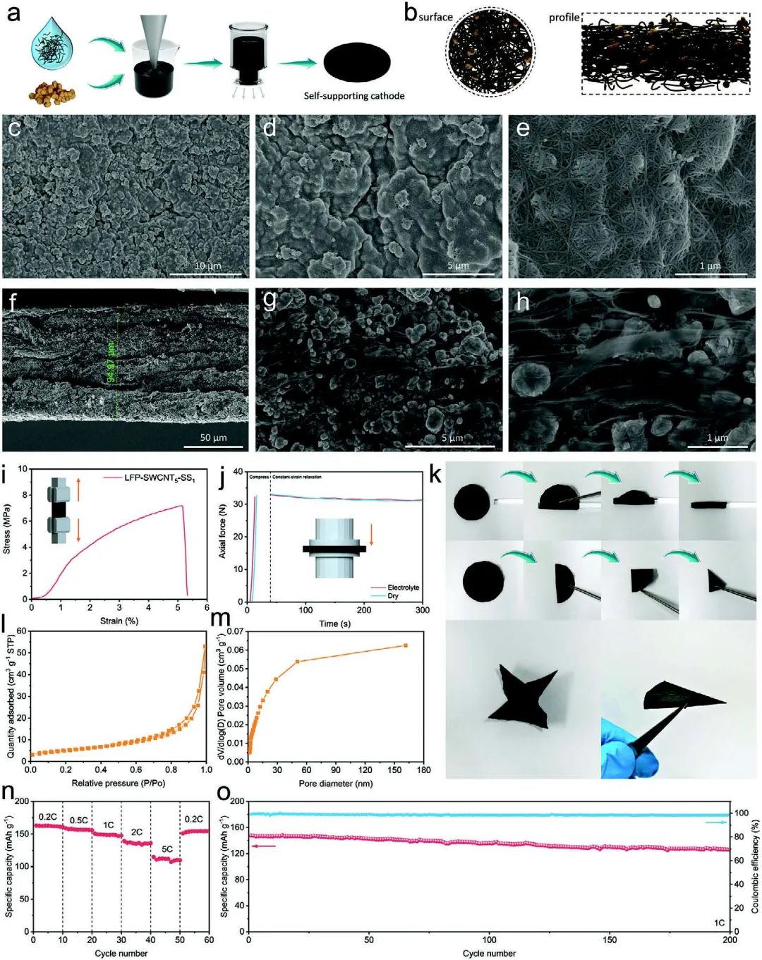 四川大學王延青Adv. Sci.：利用單分散超長單壁碳納米管制備自支撐LiFePO4正極