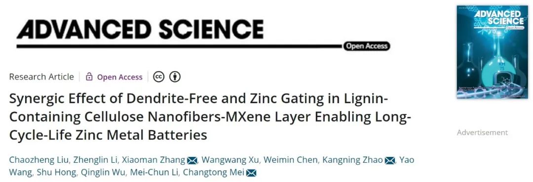 梅長彤等Adv. Sci.：納米纖維協(xié)同MXene實現(xiàn)長壽命鋅金屬電池！