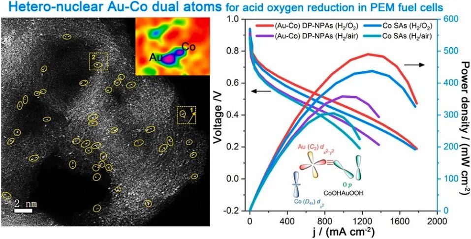 孫學良院士/北航/哈工大Appl. Catal. B.：用于高效酸性O(shè)RR的異核Au-Co雙原子的起源