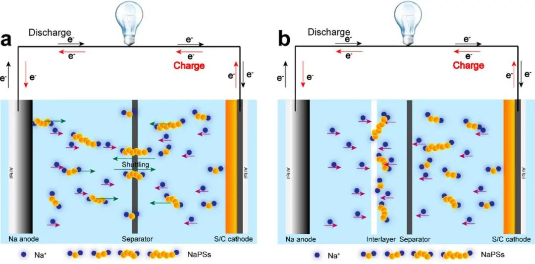 王志明/竇士學(xué)ACS Nano: 室溫鈉硫電池正極材料的納米結(jié)構(gòu)工程策略