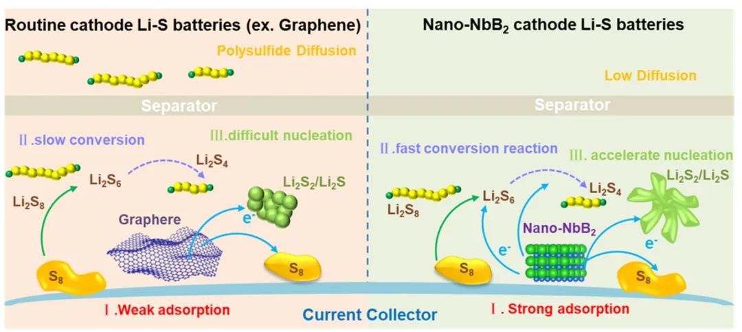 山大徐立強ACS Nano：硼化物催化主體助力鋰硫電池10C循環(huán)1300次！