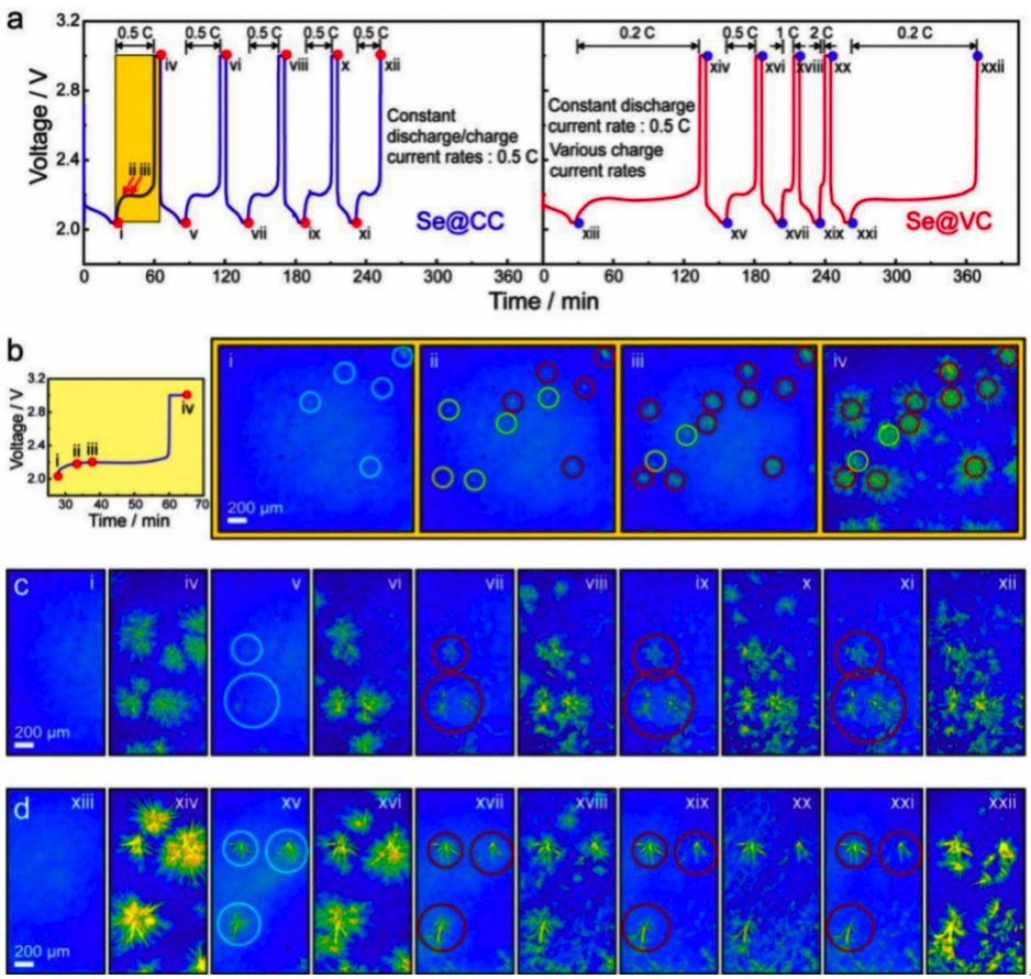 Li-Se電池EES：成核的重要性，X射線成像觀察Se的溶解與沉積