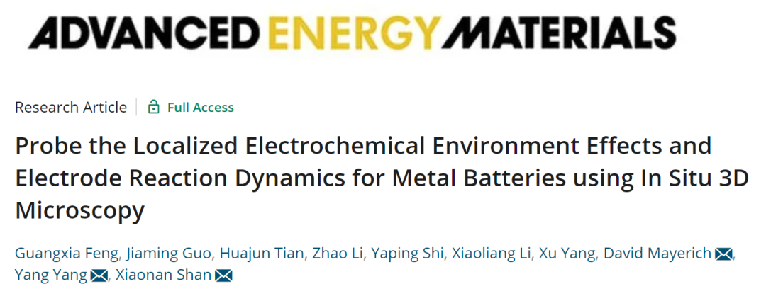 楊陽/單曉楠AEM: 局部電化學(xué)環(huán)境對(duì)電極反應(yīng)動(dòng)力學(xué)和枝晶最小化的影響