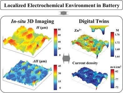 楊陽/單曉楠AEM: 局部電化學(xué)環(huán)境對(duì)電極反應(yīng)動(dòng)力學(xué)和枝晶最小化的影響