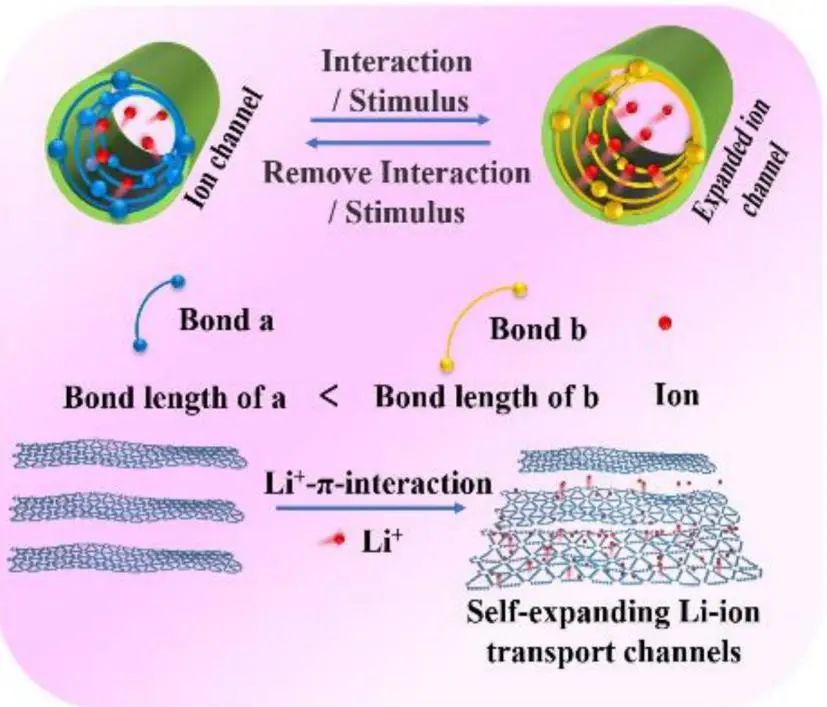 李玉良院士/李國興Angew：自膨脹鋰離子傳輸通道實(shí)現(xiàn)鋰電池的6C快充