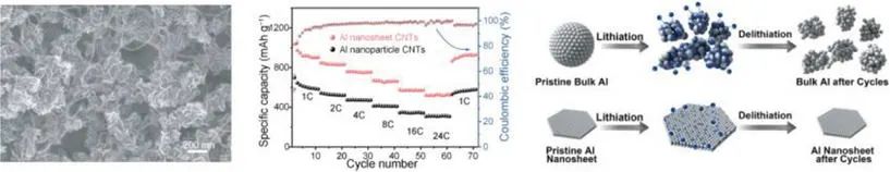 北化工孫曉明/劉文/羅亮AFM: 超薄鋁納米片作為低成本、高性能鋰離子電池負(fù)極