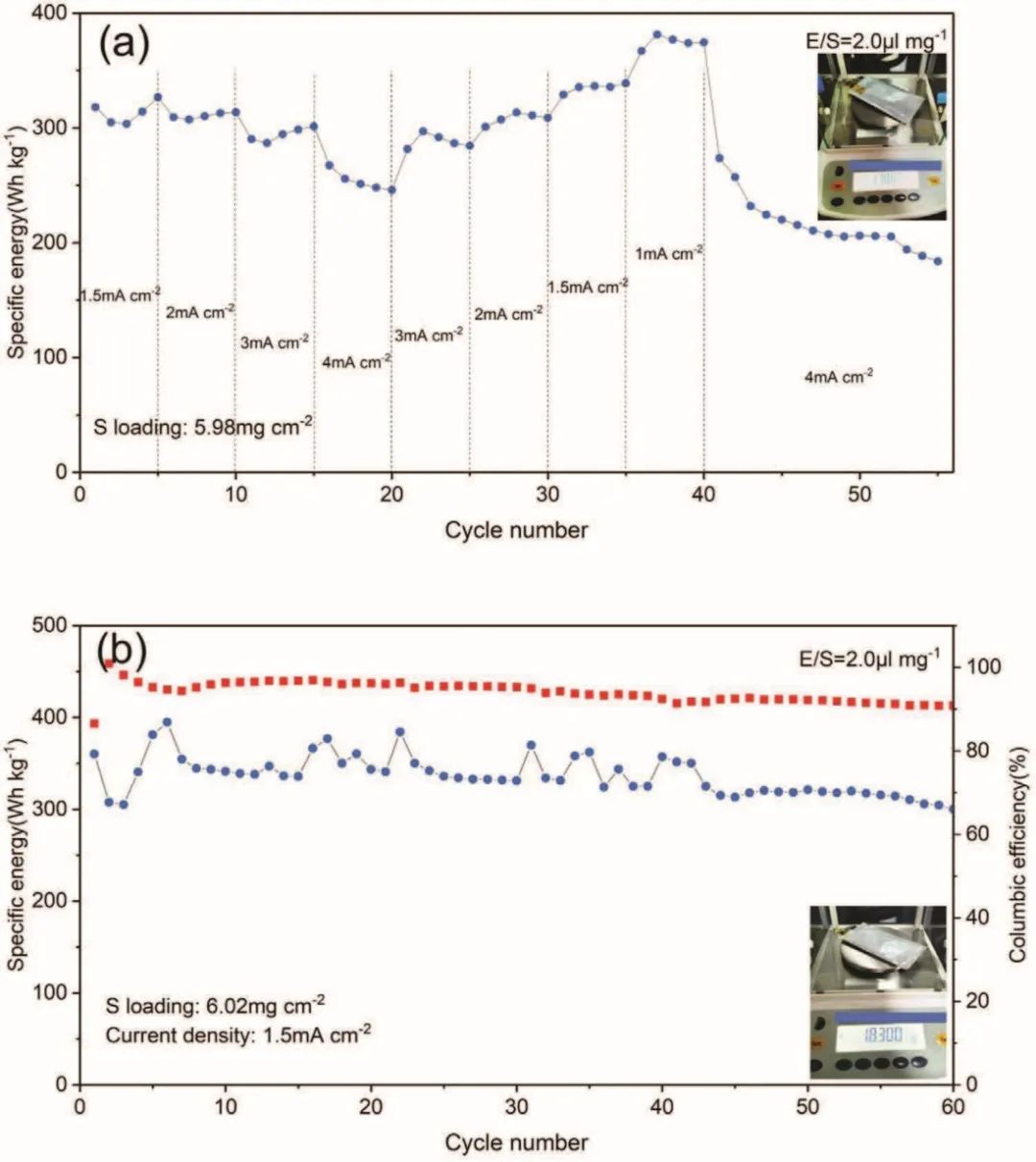 盧周廣/石斌Small Methods：三元過渡金屬硫化物助力貧電解液鋰硫軟包電池