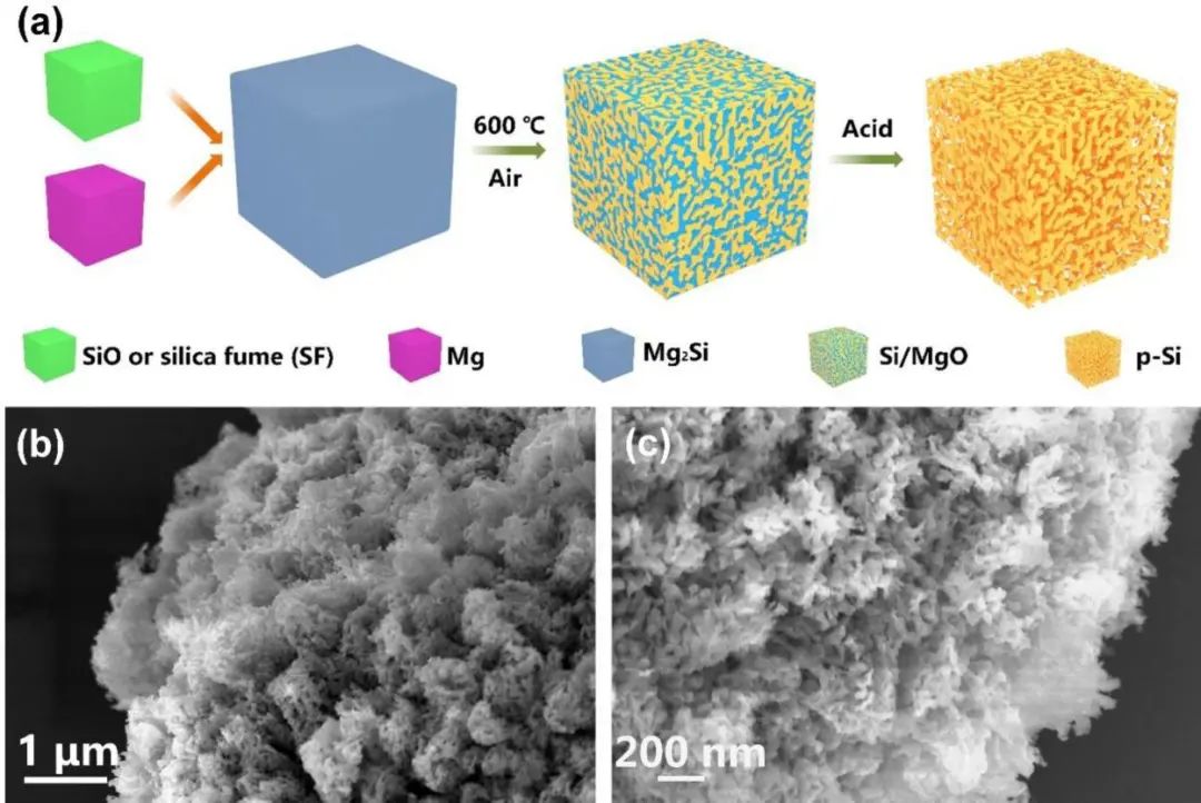 溫珍海/胡翔EnSM: 改進(jìn)的鎂熱還原實(shí)現(xiàn)互連多孔Si@C負(fù)極的高產(chǎn)率合成