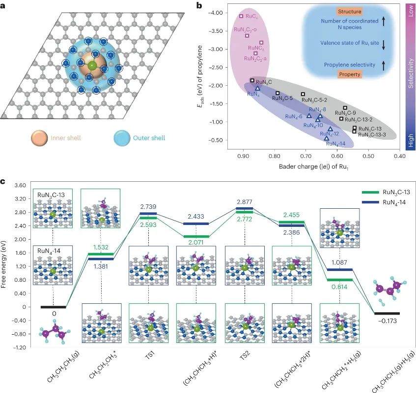 大連化物所&福大，最新Nature Catalysis！