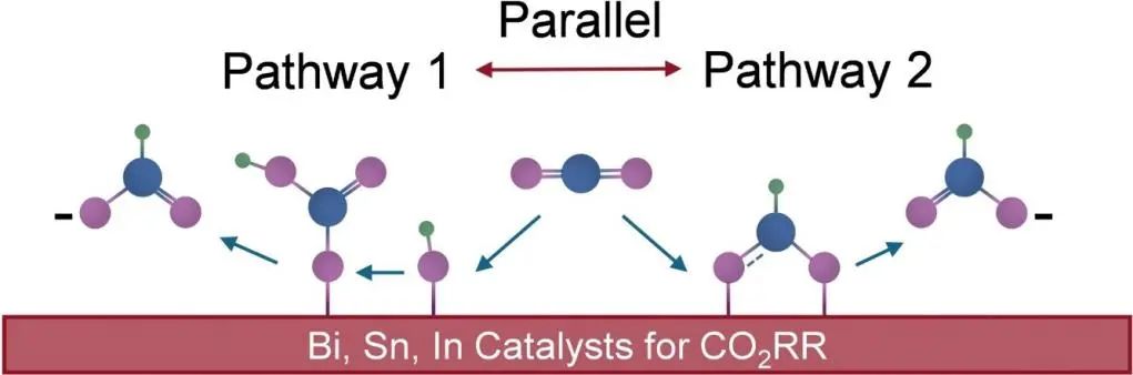 韓一帆/朱明輝/戴升Appl. Catal. B.: 探索表面羥基對(duì)Bi、Sn和In催化劑在CO2還原過程中的作用