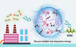 ACS Sustainable Chem. Eng.：一鍋-多步集成策略！多唑聚離子液體助力CO2化學(xué)固定為鏈狀碳酸酯