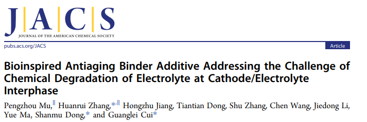 崔光磊/董杉木/張煥瑞JACS：仿生抗衰老粘結(jié)劑添加劑應(yīng)對(duì)電解液化學(xué)降解挑戰(zhàn)
