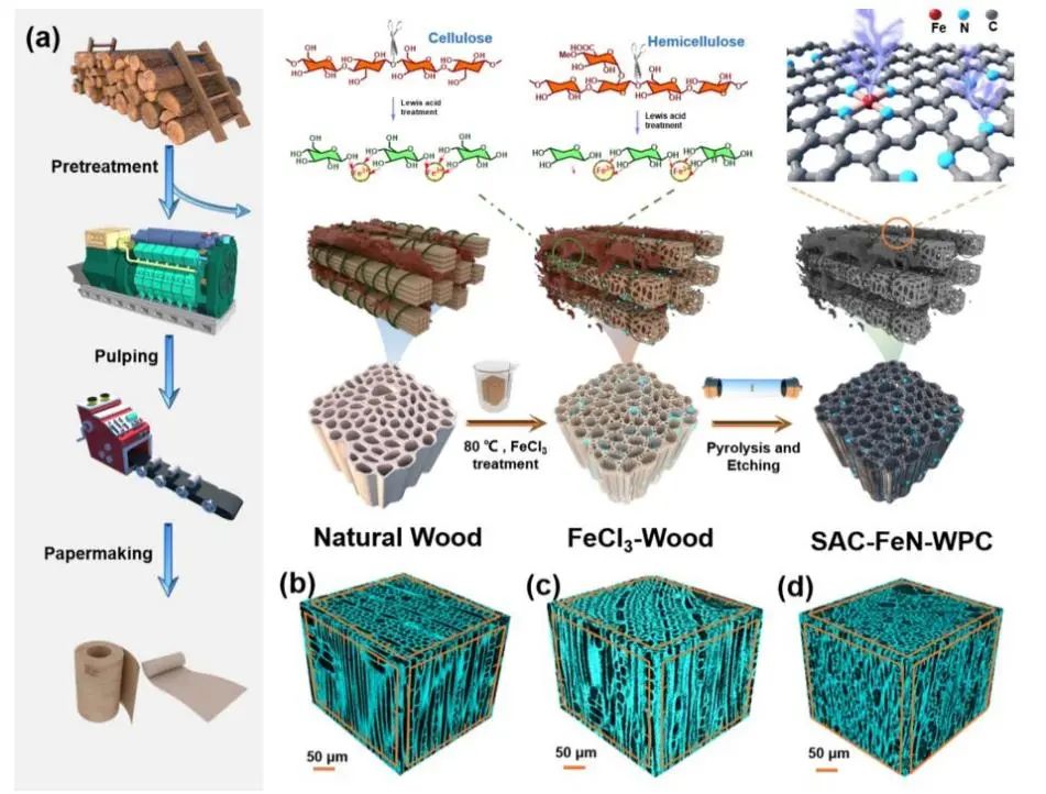 8篇催化頂刊集錦：JACS、AM、ACS Energy Lett.、Nano Lett.等最新成果