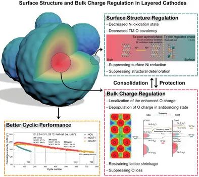 孫學良/莊衛(wèi)東/王建濤Small：高循環(huán)性能富鎳層狀正極材料的結構和電荷調節(jié)策略