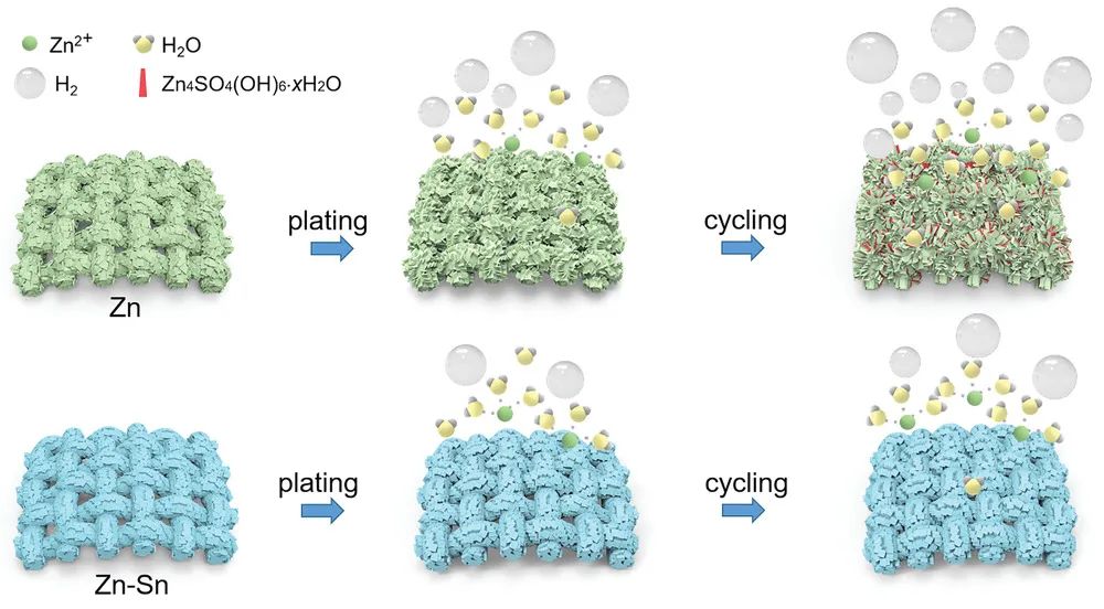 蒲雄/高磊AFM：錫合金抑制可充電水系電池中鋅金屬負(fù)極析氫和枝晶