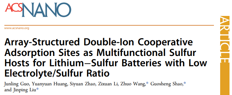 邵國勝/王卓/劉金平ACS Nano：低E/S比、高S負(fù)載鋰硫電池的多功能硫主體
