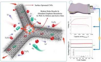 哈工大朱星寶AFM: 用于鋰氧電池正極的柔性3D分層多孔結(jié)構(gòu)設(shè)計及其功能改性