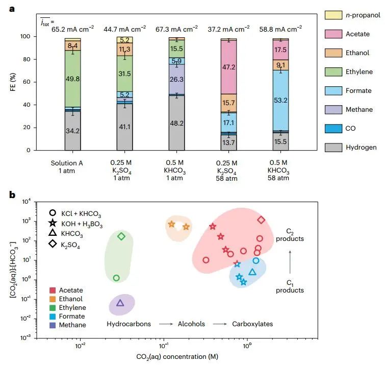 戴宏杰院士，最新Nature Catalysis！