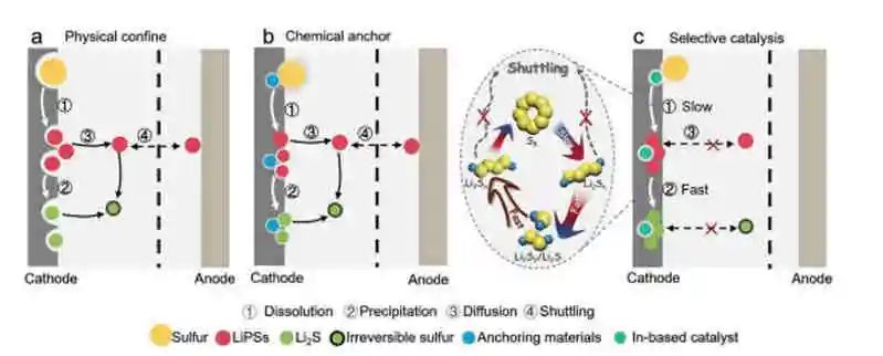 楊全紅/Ying Wan最新AM：鋰硫電池中多硫化物穿梭的選擇性催化修復(fù)