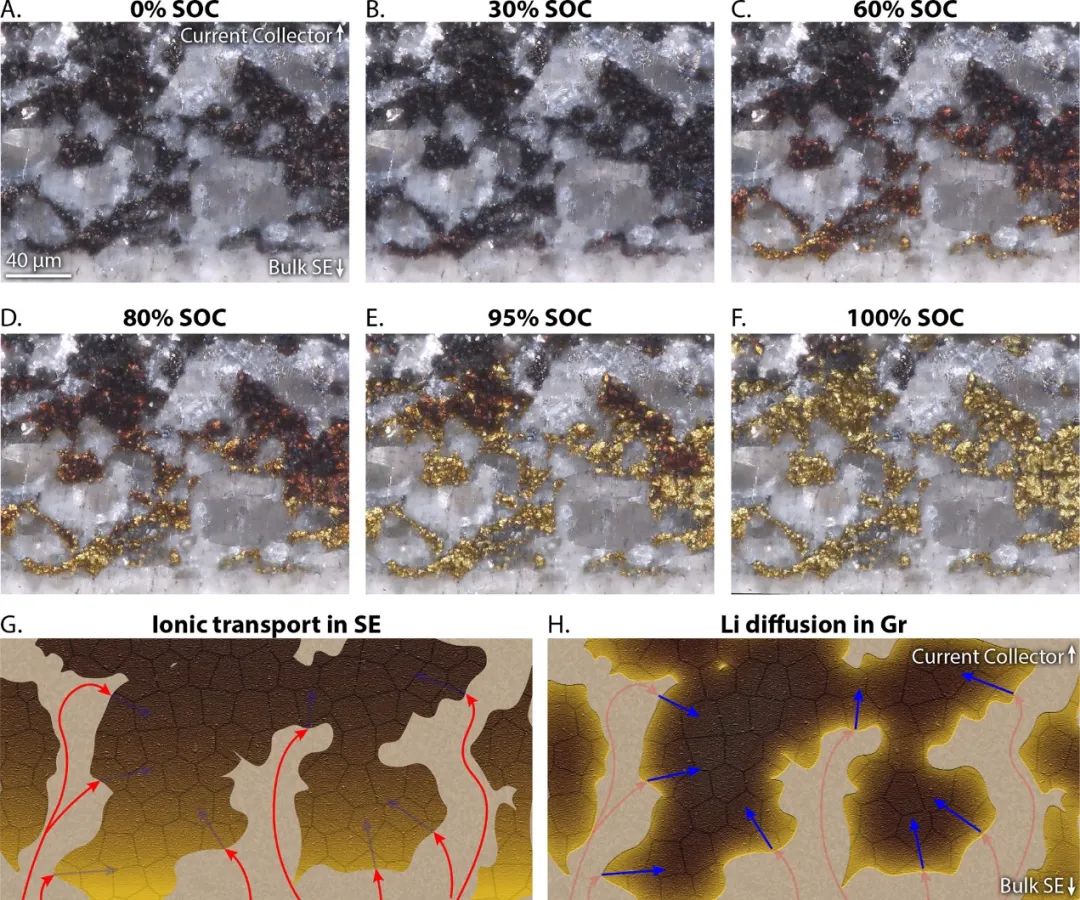 ACS Energy Lett.：利用原位顯微鏡揭示復(fù)合固態(tài)電池電極的倍率限制