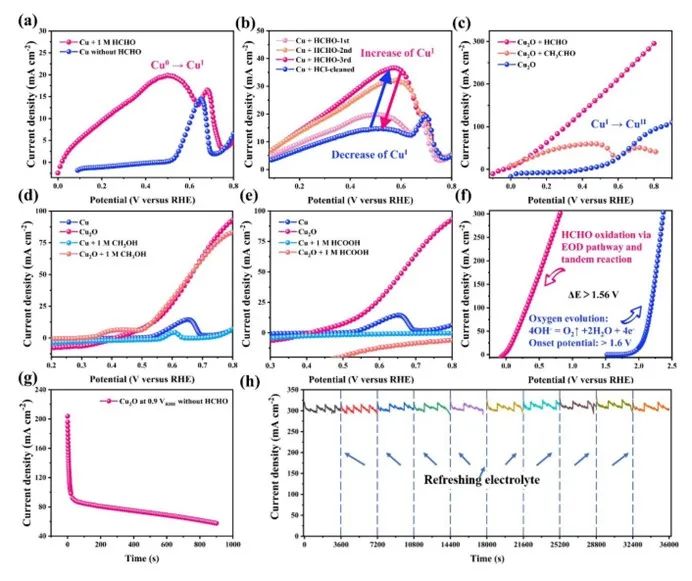 催化頂刊合集：EES、AM、AFM、Adv. Sci.、Small、JEM、CEJ等成果！