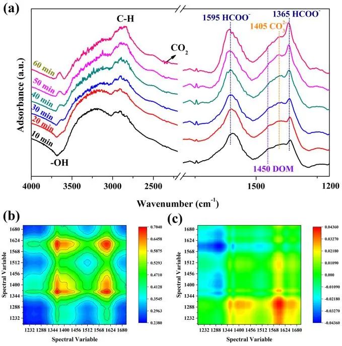 催化頂刊集錦：JACS、Angew.、ACS Catal.、Nano Energy、Nano Lett.等成果