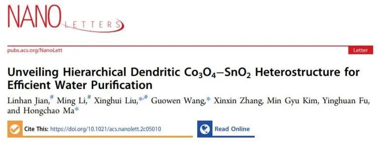 催化頂刊集錦：EES、ACS Catalysis、AEM、AFM、ACS Nano、Small、Nano Lett.等