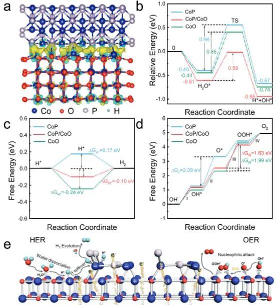 催化頂刊集錦：Nature子刊、JACS、AFM、ACS Catalysis、Nano Energy等