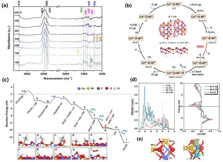 催化頂刊集錦：JACS、Angew、ACS Catal.、AFM、Adv. Sci.、Nano Lett.、Small等