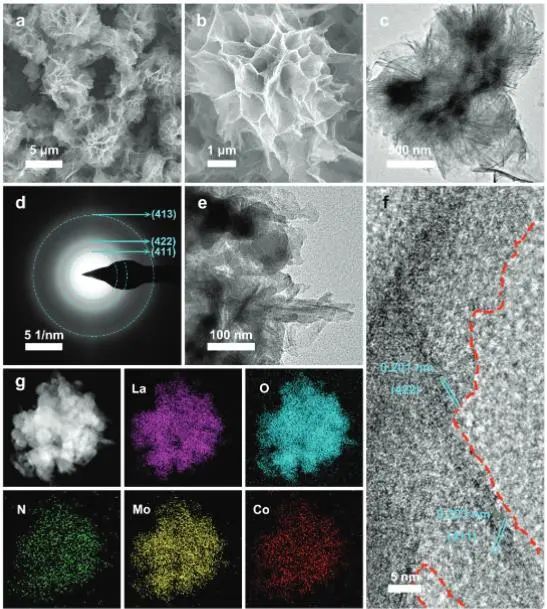 催化頂刊集錦：JACS、Angew、ACS Catal.、AFM、Adv. Sci.、Nano Lett.、Small等