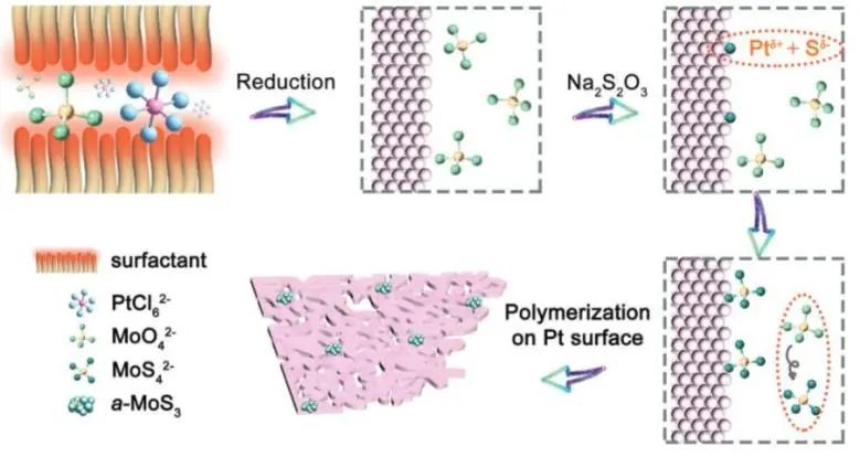 催化頂刊集錦：JACS、Angew、ACS Catal.、AFM、Adv. Sci.、Nano Lett.、Small等