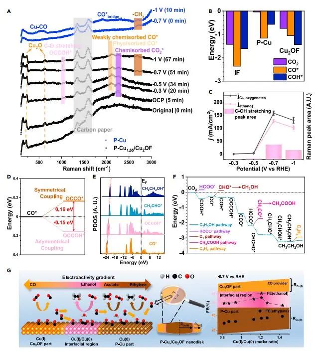 計(jì)算文獻(xiàn)速遞：Nature Catalysis、EES、JACS、Chem、EnSM、Nat. Commun.等！