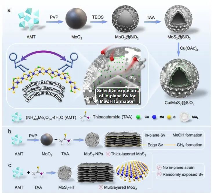 計(jì)算文獻(xiàn)速遞：Nature Catalysis、EES、JACS、Chem、EnSM、Nat. Commun.等！